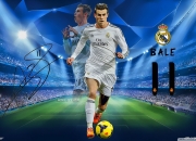 VANDIJK什么时候的简单介绍