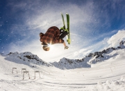 ShearerAPP最新（shearit apk free download）