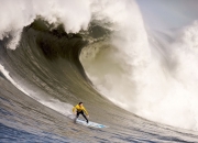 25-26赛季孙兴慜官宣（孙兴慜这个赛季打进了几个球）