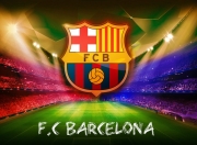 2025-2026波罗伤病（波罗安全性怎么样）